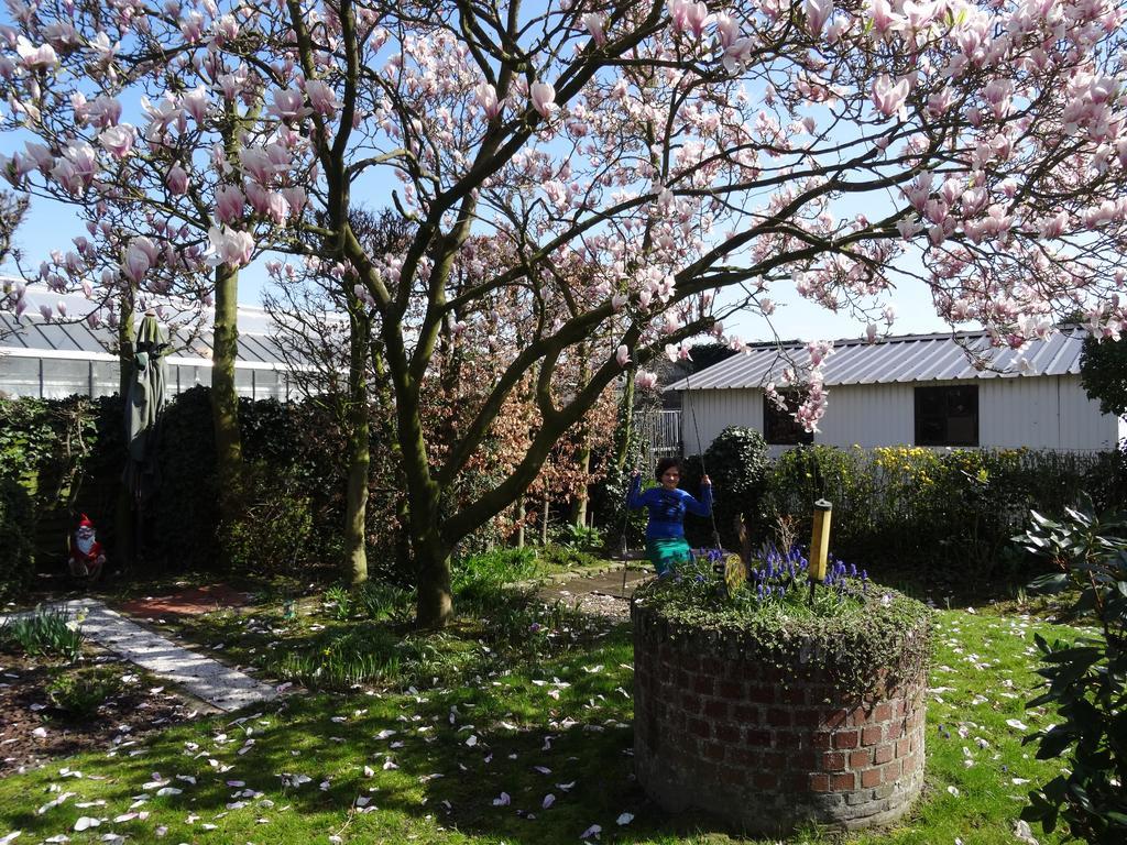 Hostellerie Daiseldaele Dadizele Luaran gambar